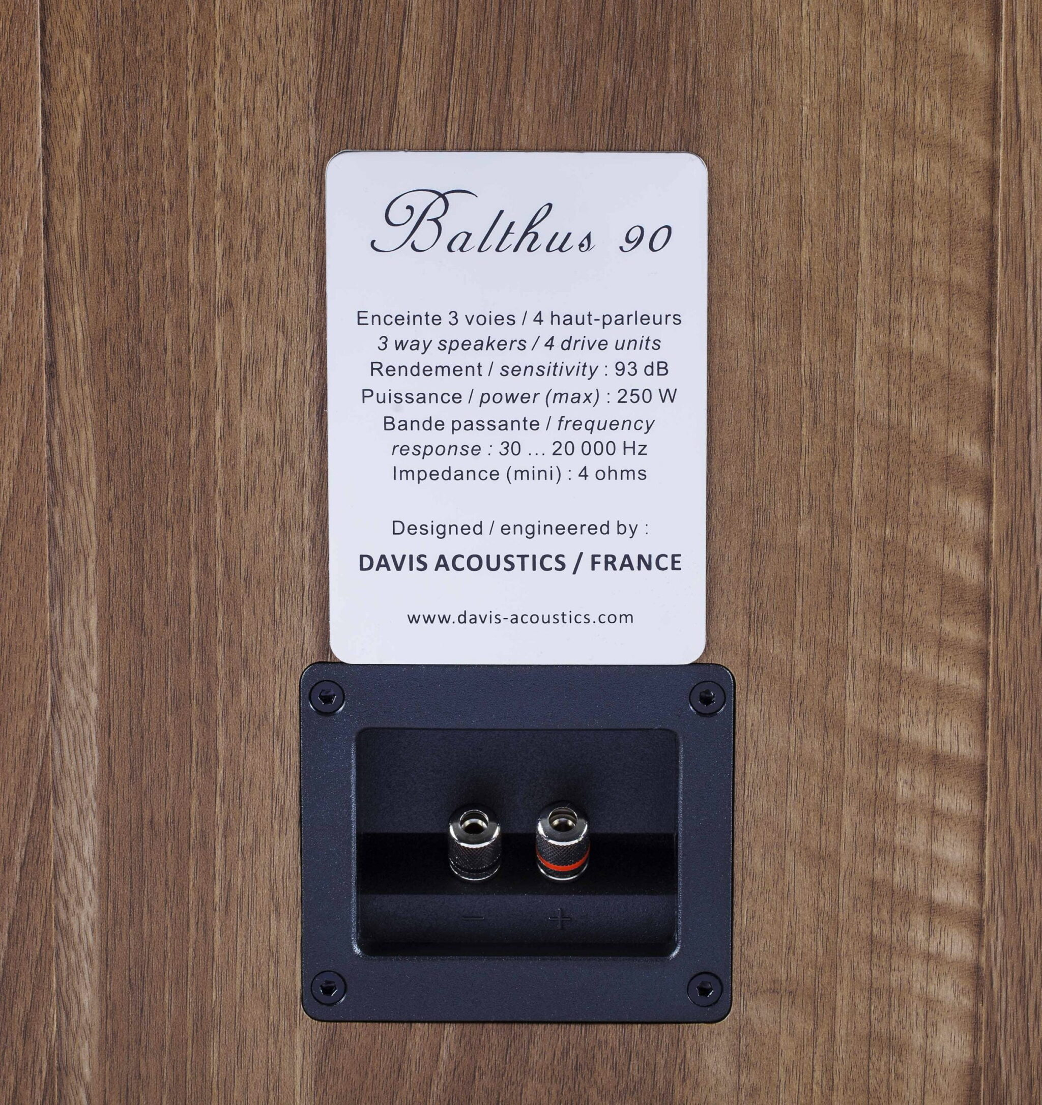 DAVIS - Balthus 90 - Enceinte – Image 3
