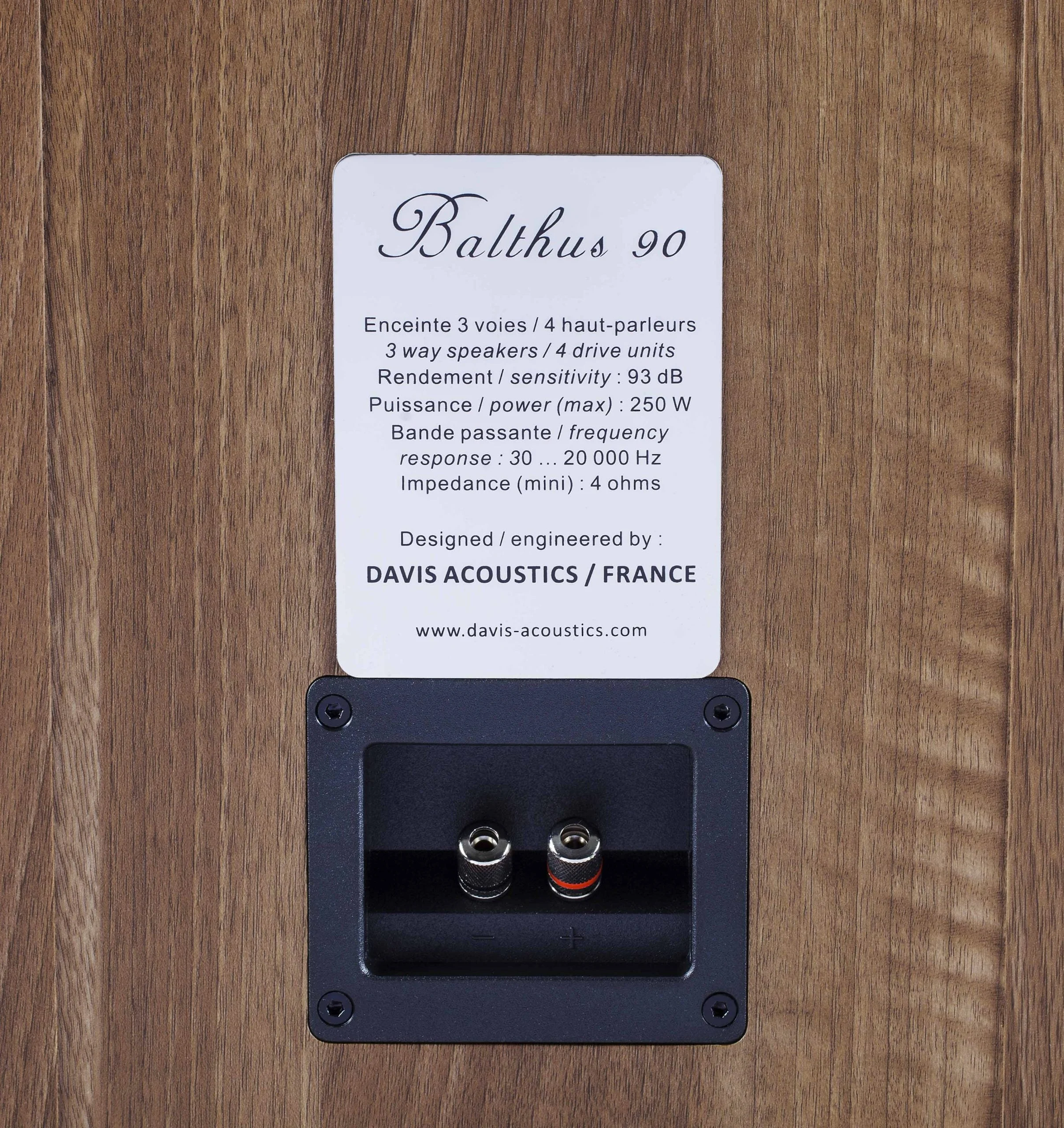 DAVIS - Balthus 90 - Enceinte – Image 3