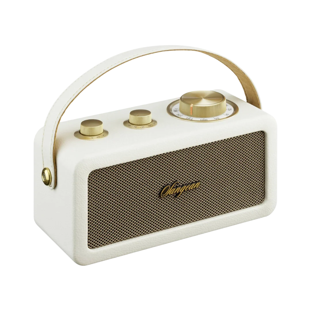 Enceinte sans fil - Sangean - RA-101