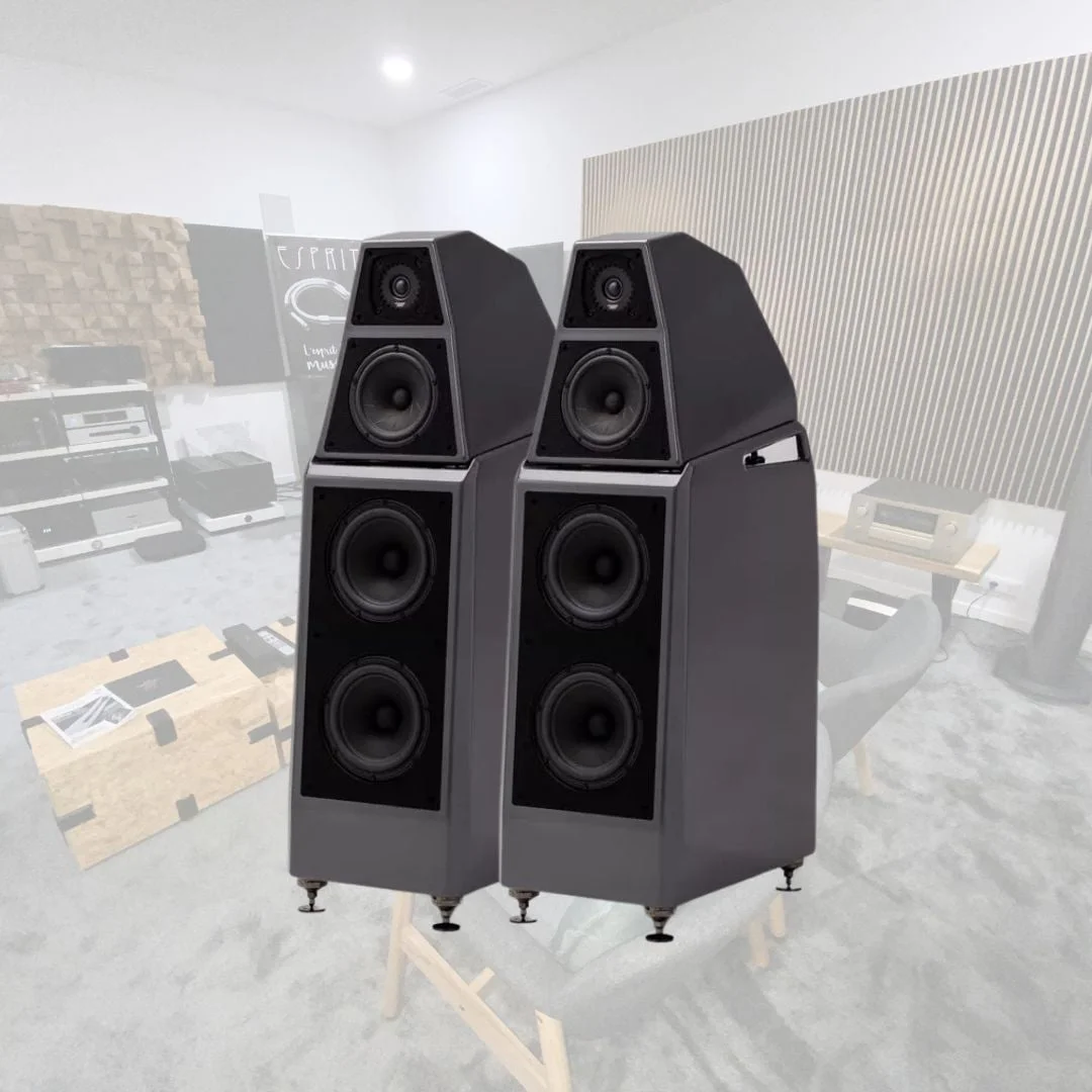 Sasha Daw - Wilson Audio - Occasion