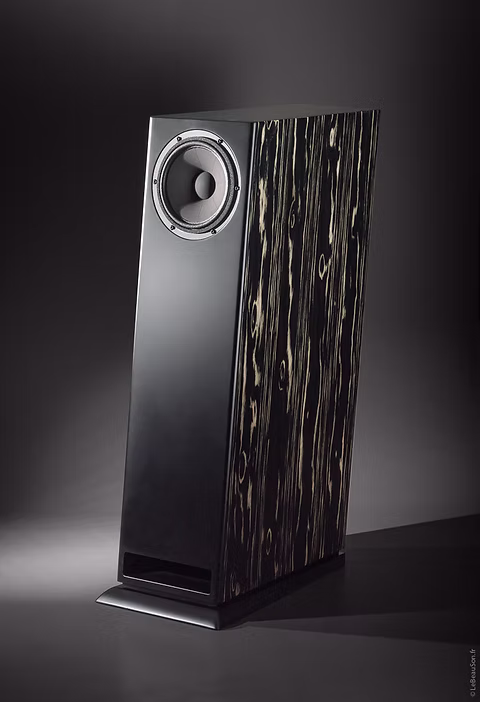 Davis Acoustics MV One Master - colonne Capsule statement