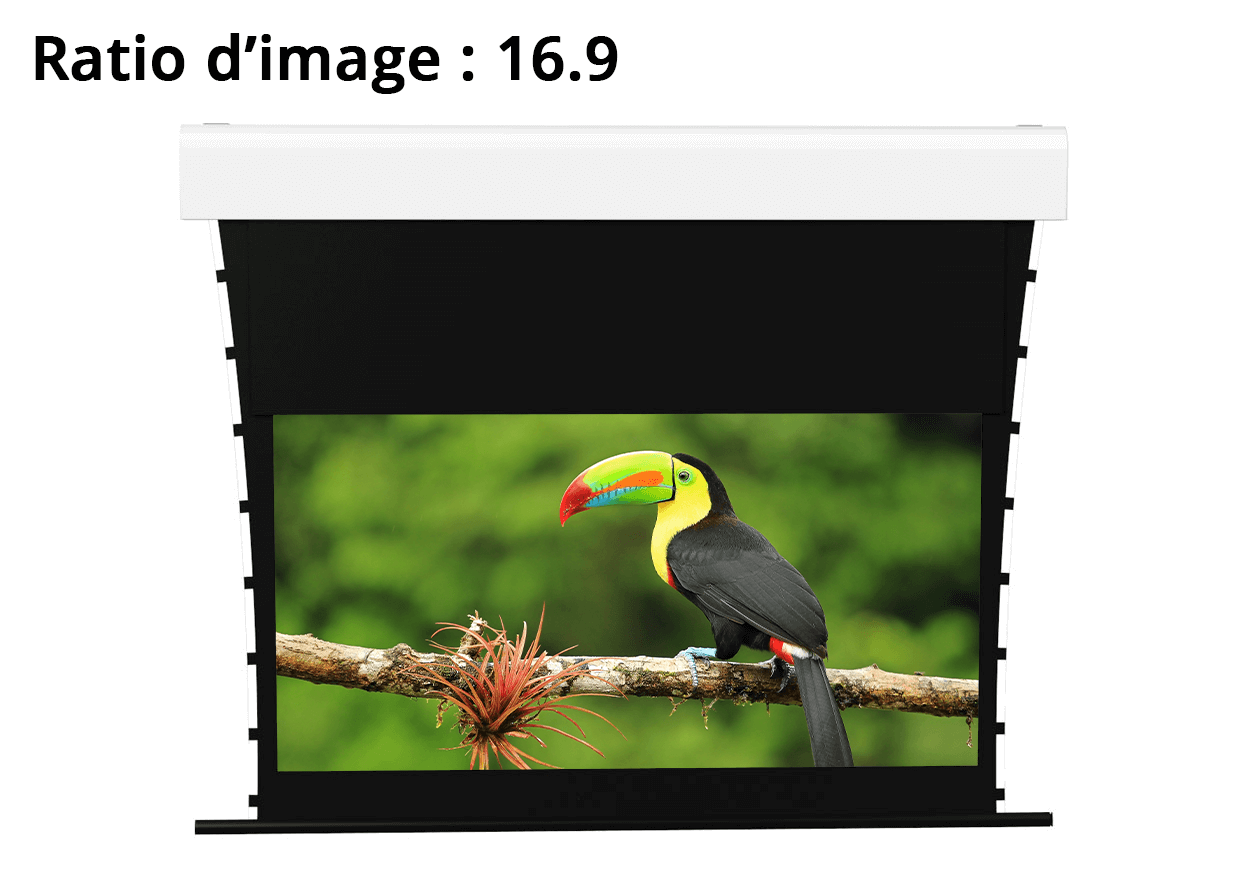 Xtrem Screen - CineMask ELITE In Ceiling