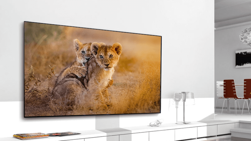 Xtrem Screen écran cadre fixe