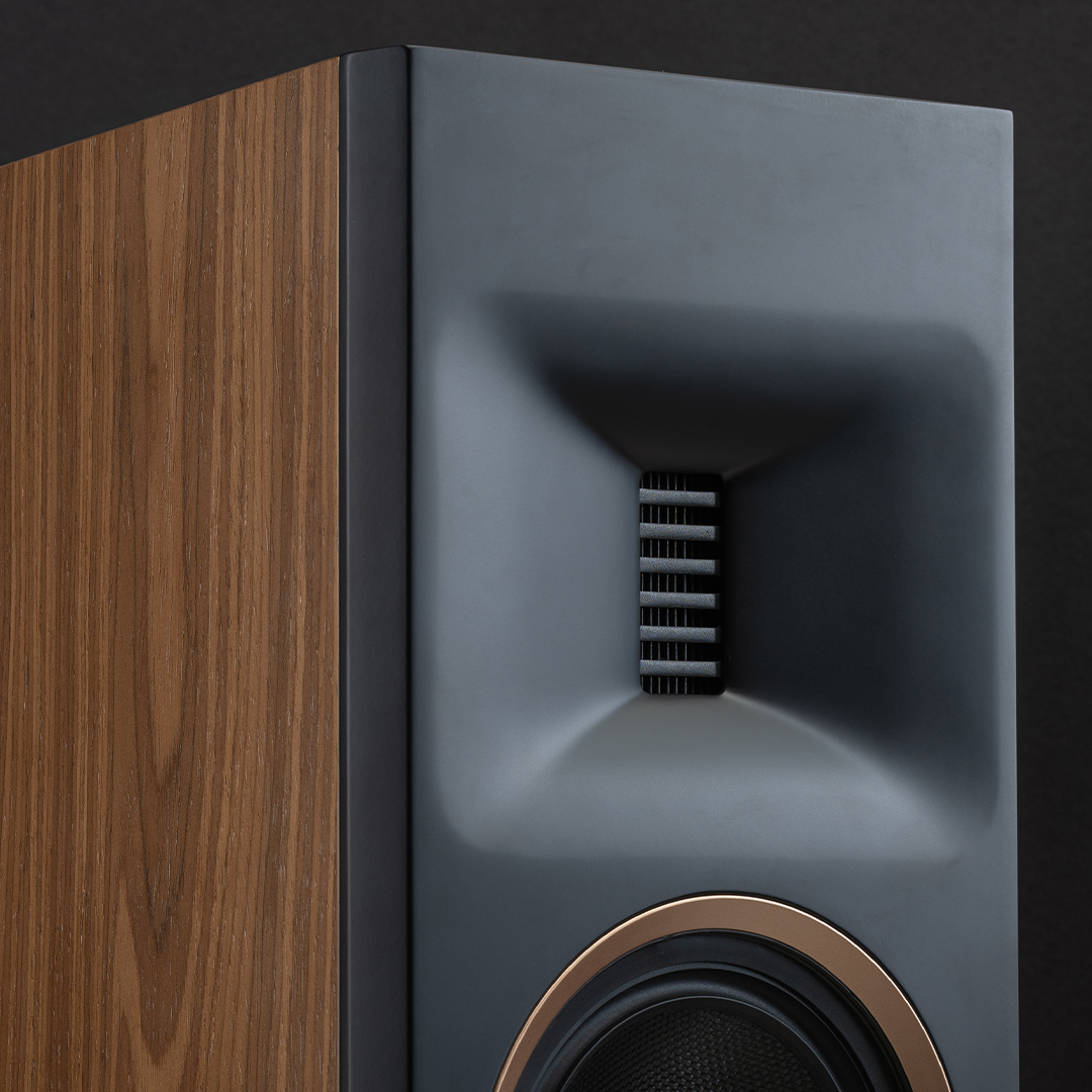 MartinLogan Motion XT B100