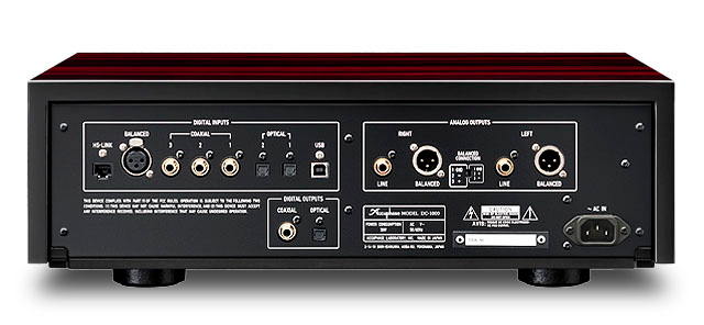 Accuphase DC-1000 — face arrière