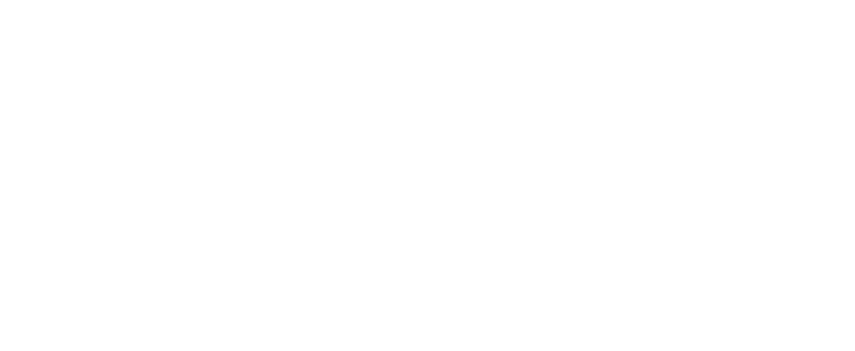 Audia Flight